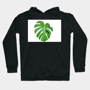 Bright green monstera leaf on white background closeup Hoodie